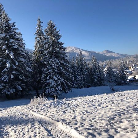 Apartament Chata Toma Zakopane Buitenkant foto