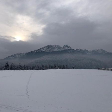 Apartament Chata Toma Zakopane Buitenkant foto