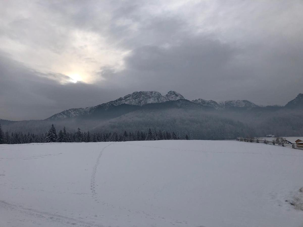 Apartament Chata Toma Zakopane Buitenkant foto