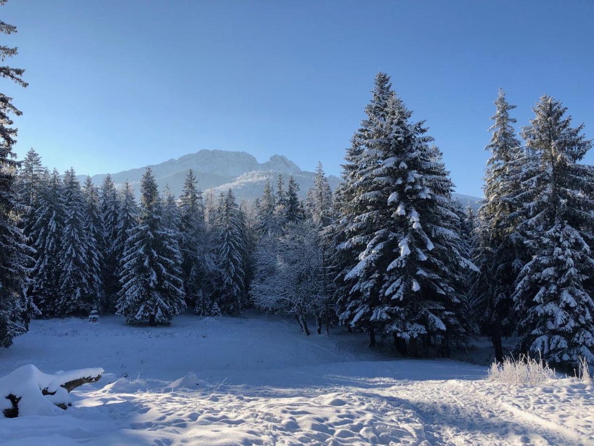 Apartament Chata Toma Zakopane Buitenkant foto